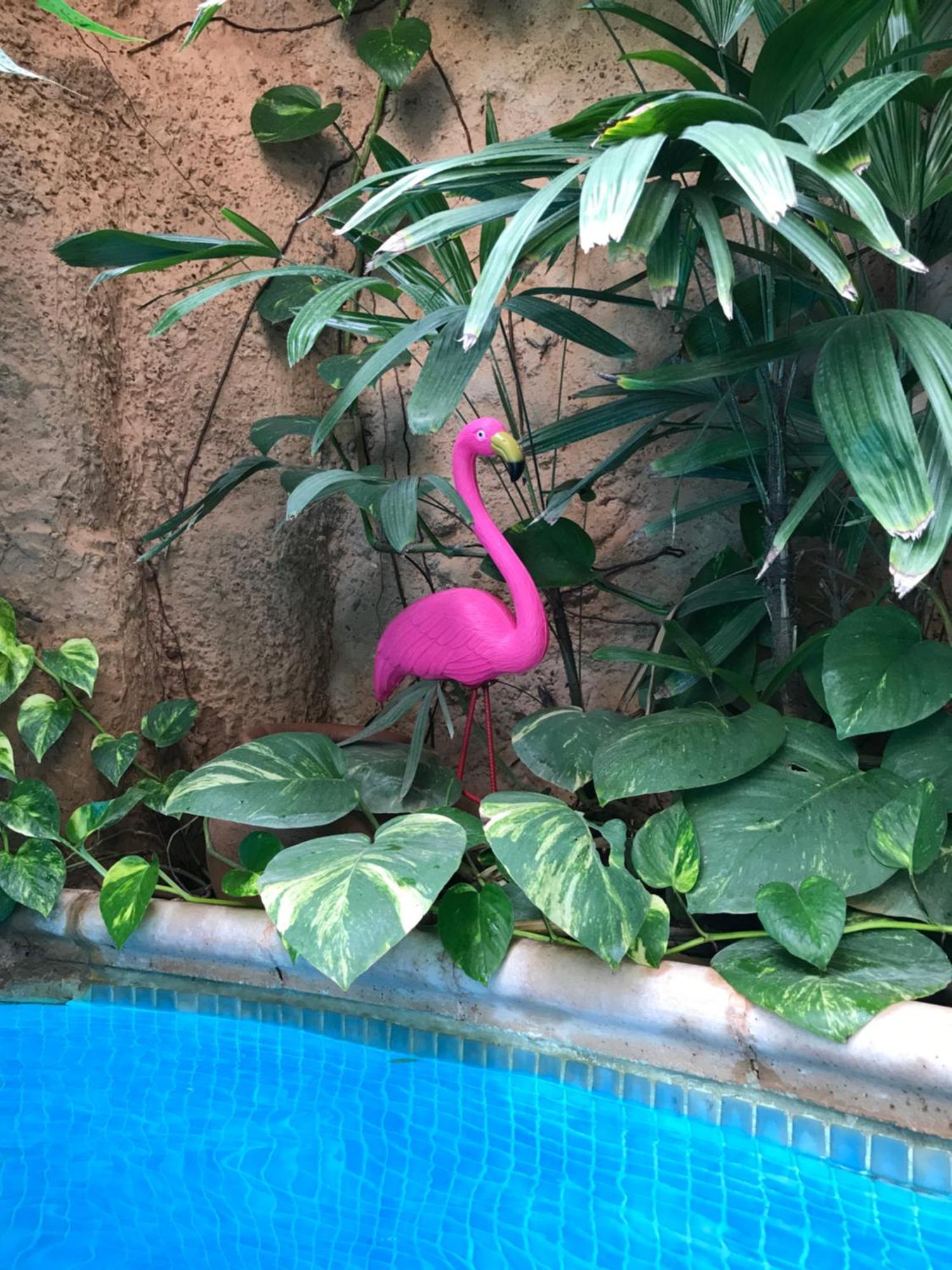 Tropical Oasis Leilighet Ouakam Eksteriør bilde