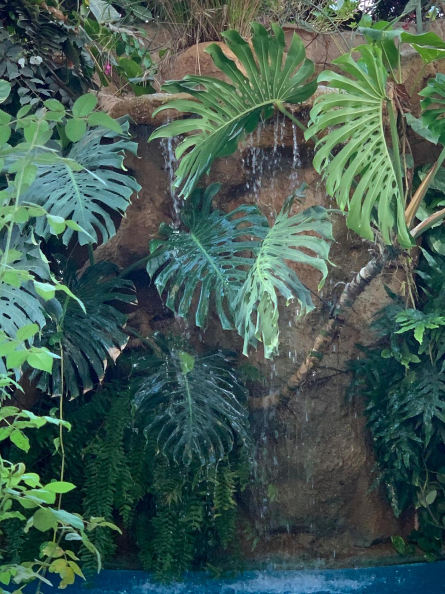 Tropical Oasis Leilighet Ouakam Eksteriør bilde