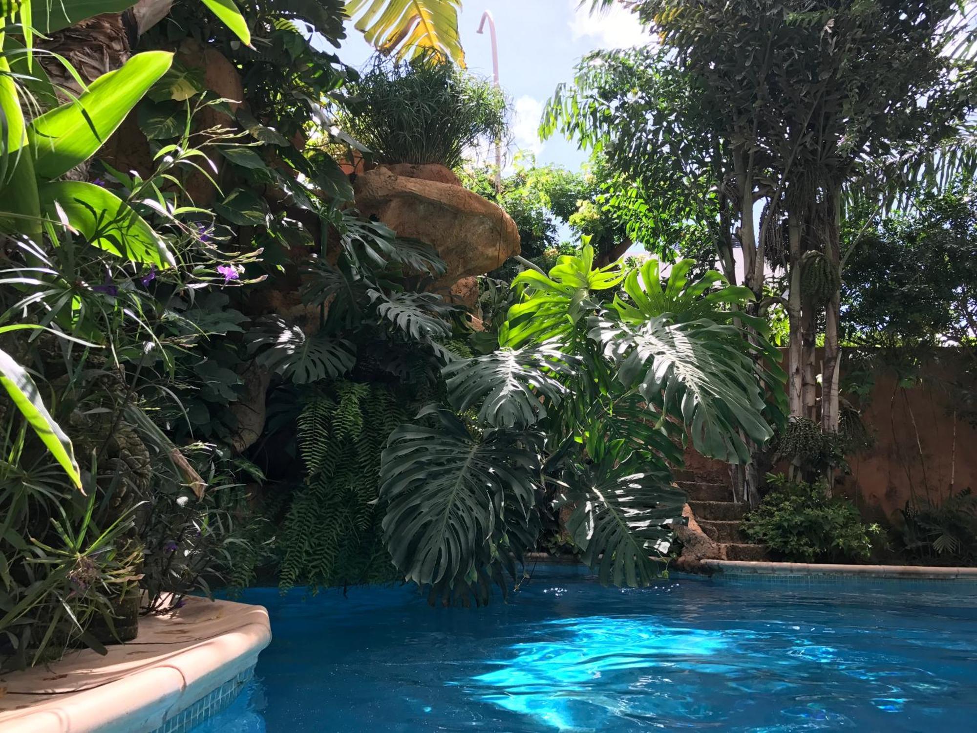 Tropical Oasis Leilighet Ouakam Eksteriør bilde