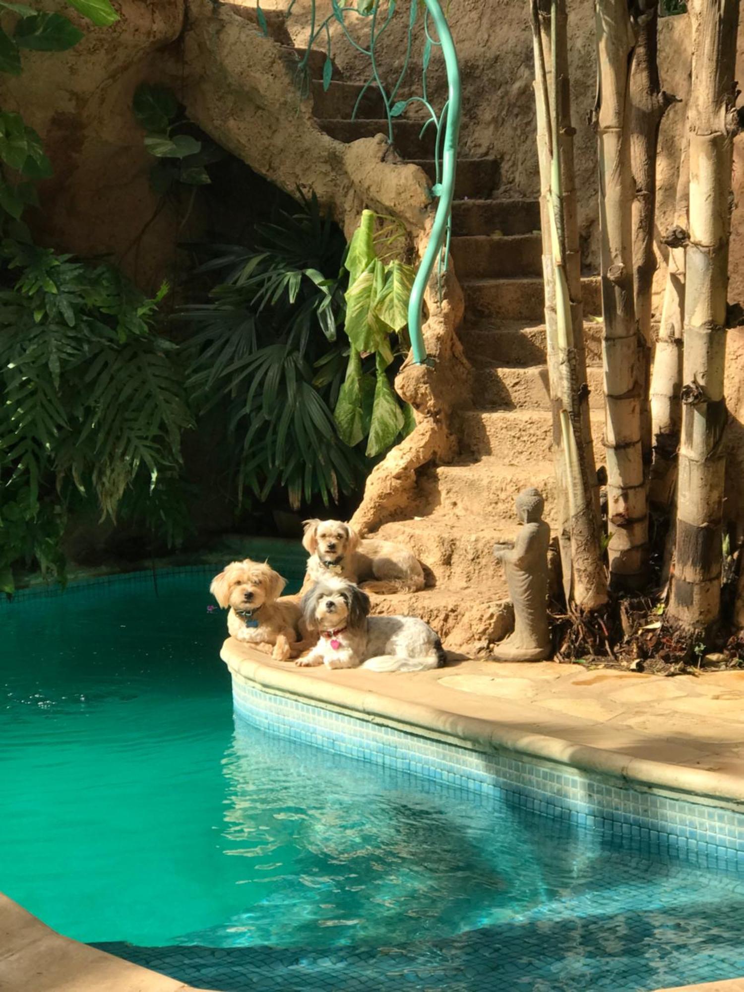 Tropical Oasis Leilighet Ouakam Eksteriør bilde